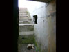 Steps into the French FCP.
