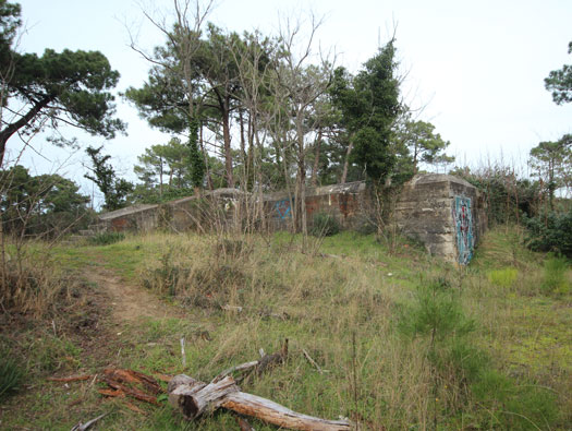 Gi09 Bon Anse 'Cosel' (North site)