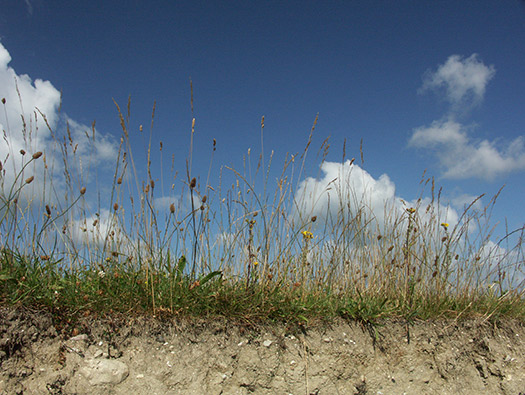 Vill01 Deauville plage est