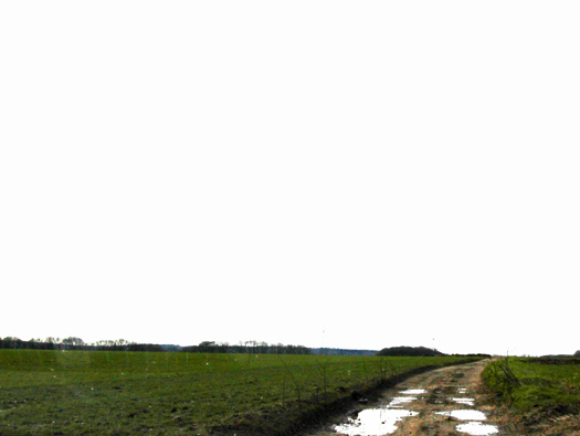 Wn Tre012, Plateau de la Croix au Bailly.