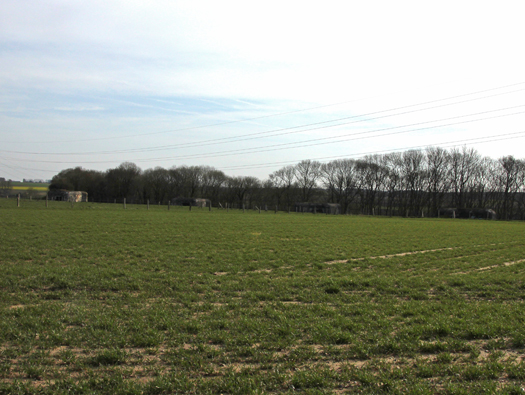 Wn Tre012, Plateau de la Croix au Bailly.