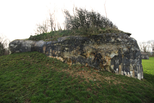 Wn Tre012, Plateau de la Croix au Bailly.