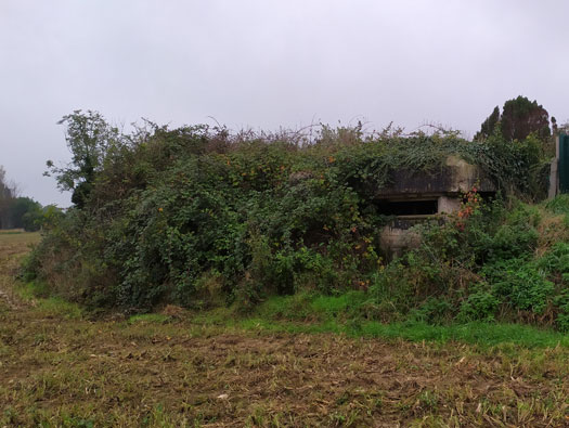 Wn21/Wn22 Octeville Le Moulin