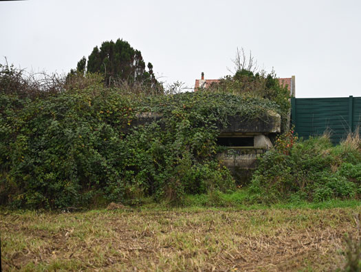 Wn21/Wn22 Octeville Le Moulin