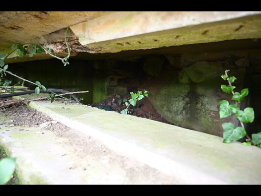 Wn21/Wn22 Octeville Le Moulin