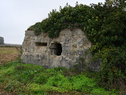 Wn21/Wn22 Octeville Le Moulin