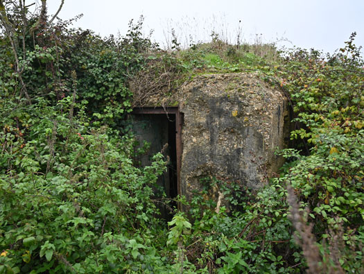 Wn21/Wn22 Octeville Le Moulin