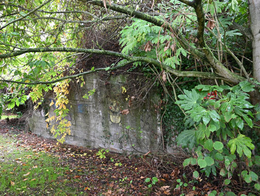 Wn21/Wn22 Octeville Le Moulin