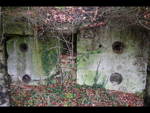Wn21/Wn22 Octeville Le Moulin