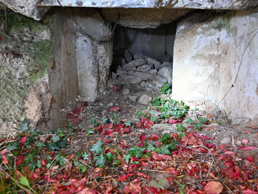 Wn21/Wn22 Octeville Le Moulin