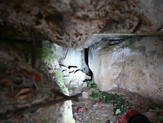 Wn21/Wn22 Octeville Le Moulin
