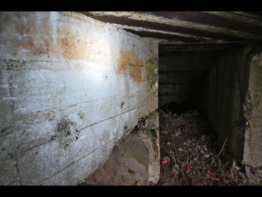 Wn21/Wn22 Octeville Le Moulin