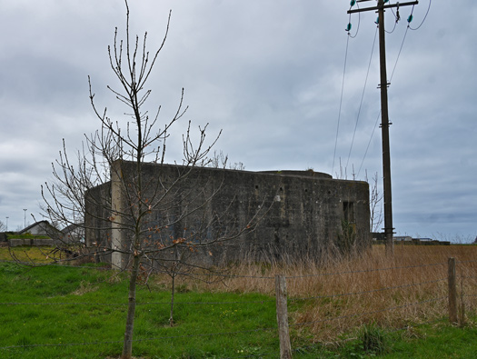 FuSan Dora, Saint Martin aux Buneaux