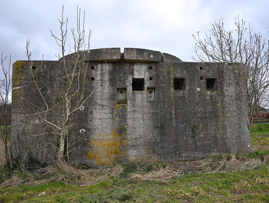 FuSan Dora, Saint Martin aux Buneaux