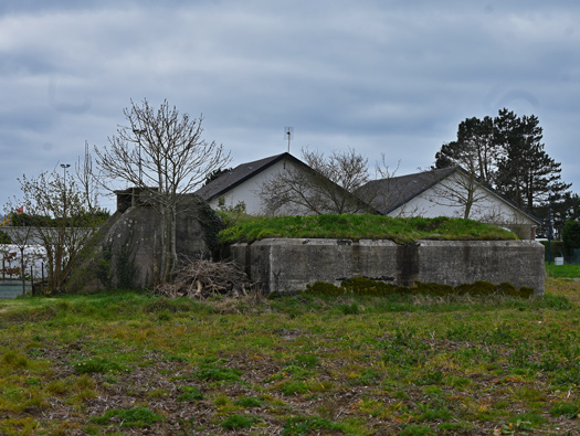 FuSan Dora, Saint Martin aux Buneaux