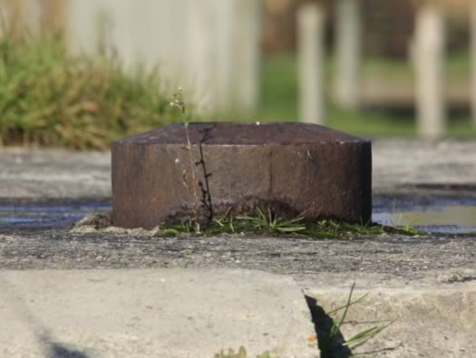 Wn01 Merville Batterie