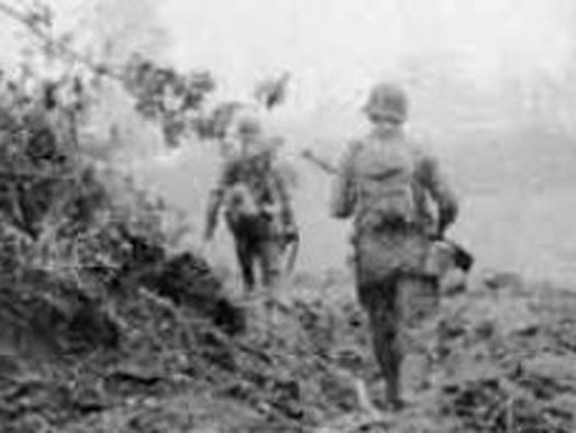Wn02a Poupeville (Utah Beach)