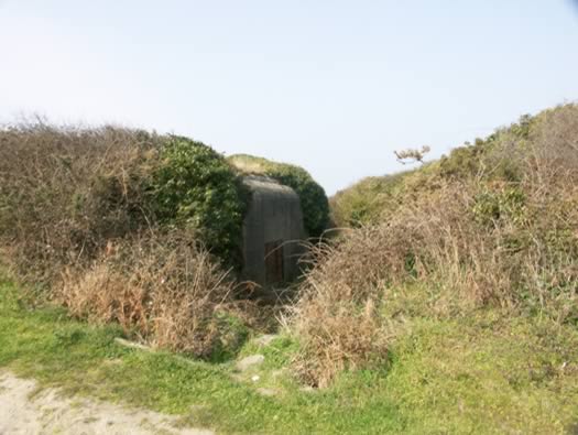 Ra104b/Ra310a Pointe du Grouin.