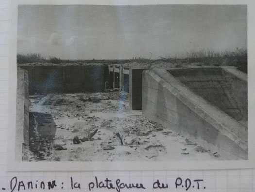 Ro227 Pte de Queille 'Damian'
