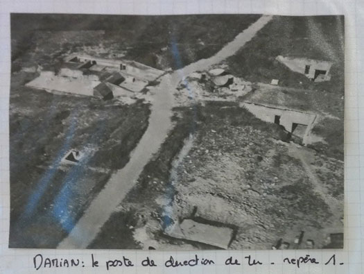 Ro227 Pte de Queille 'Damian'