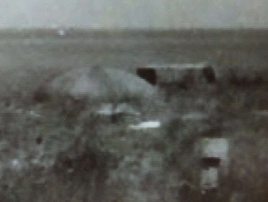 Ro227 Pte de Queille 'Damian'