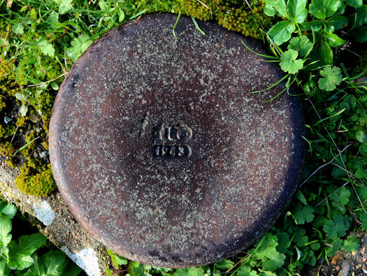 Ro227 Pte de Queille 'Damian'