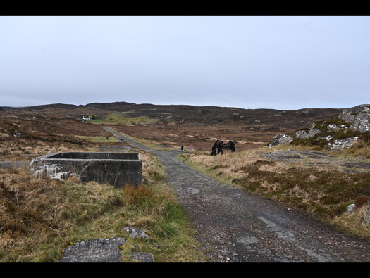 Emergency Coastal Battery,
Rubha nan Sasan (Cove).
