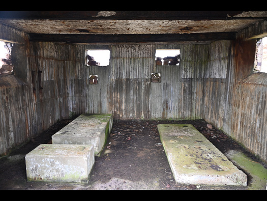 Emergency Coastal Battery,
Rubha nan Sasan (Cove).