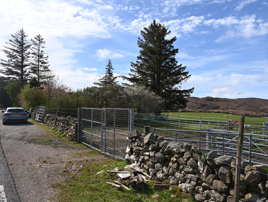 AA Battery E3, Tournaig Farm Loch Ewe