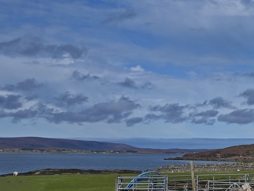 AA Battery E3, Tournaig Farm Loch Ewe