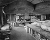 Dingy Shed