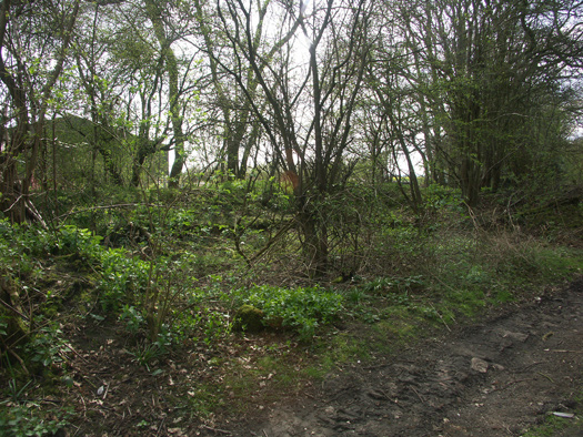 RAF Marston Moor 
Bomb Store