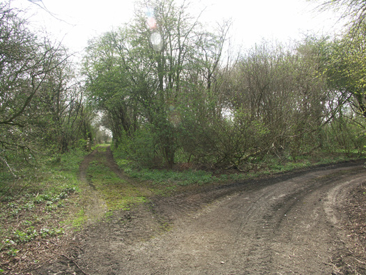RAF Marston Moor 
Bomb Store