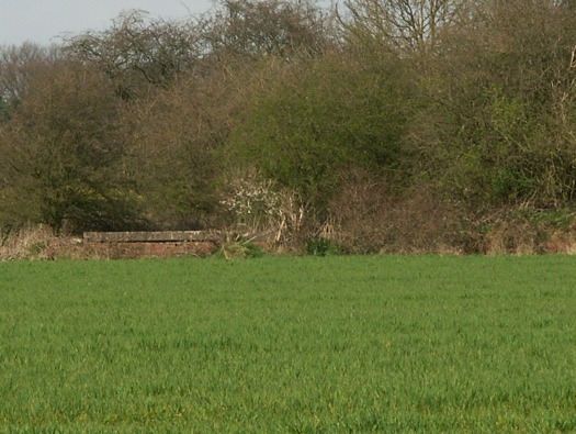RAF Marston Moor 
Bomb Store