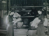 Main Store.