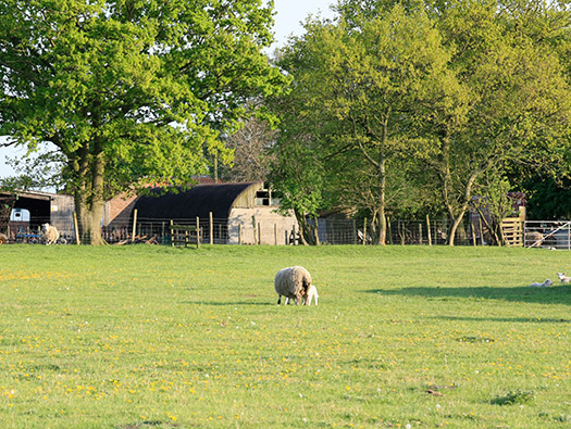 RAF Melbourne, Yorkshire