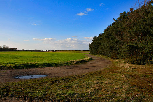 RAF Riccall, Airfield Site.
