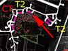 Plan.
