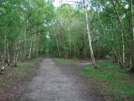 RAF Riccall, Bomb Store