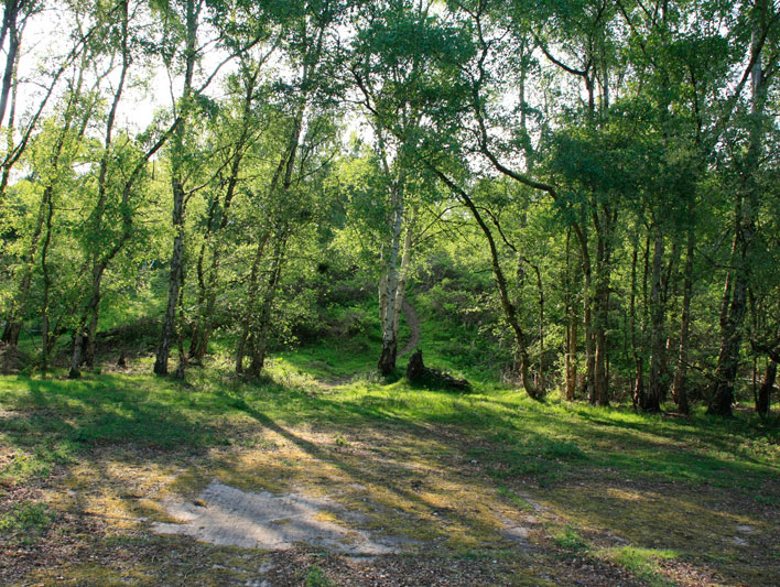 RAF Riccall, Bomb Store