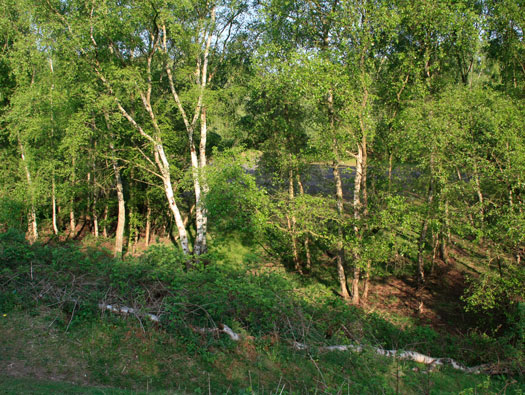 RAF Riccall, Bomb Store