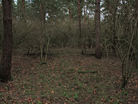 RAF Stratford, Airfields Site.