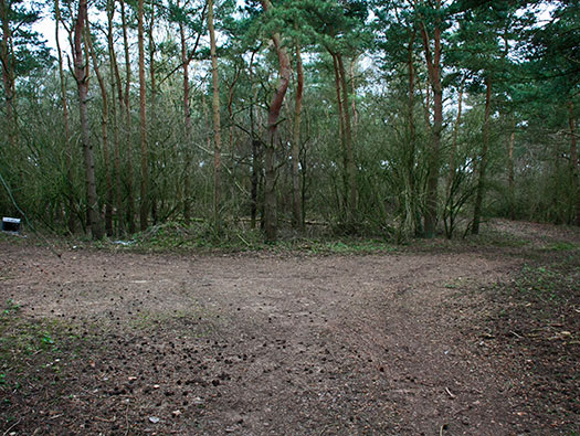 RAF Stratford, Airfields Site.