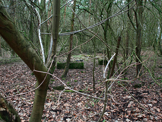 RAF Stratford, Airfields Site.