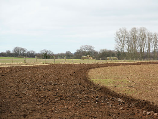 RAF Stratford, Airfields Site.