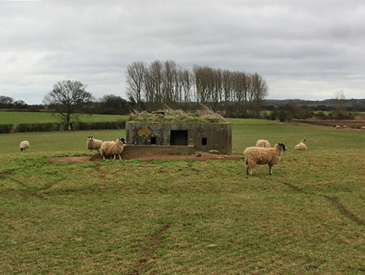 RAF Stratford, Airfields Site.