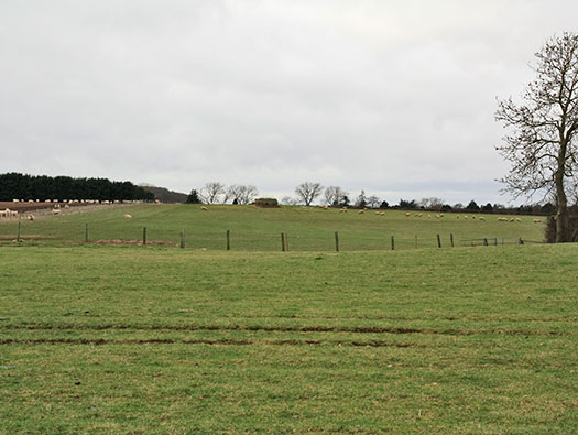 RAF Stratford, Airfields Site.