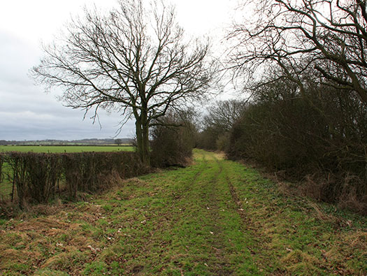 RAF Stratford, Airfields Site.