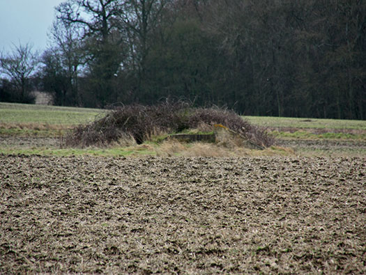 RAF Stratford, Airfields Site.