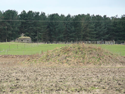 RAF Stratford, Airfields Site.